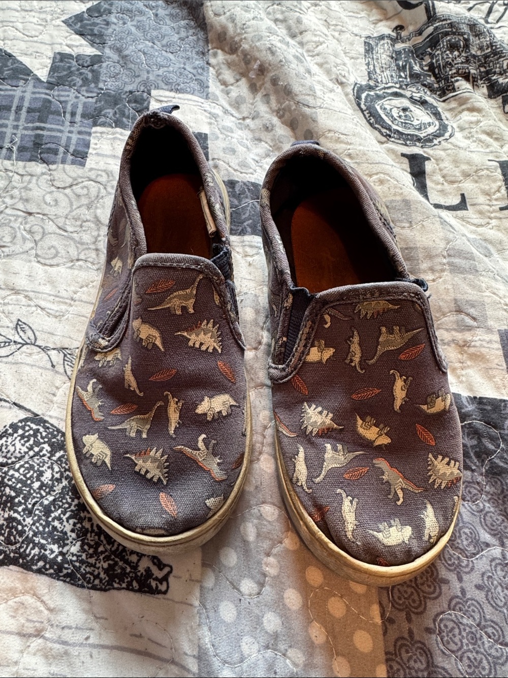 Dino Shoes